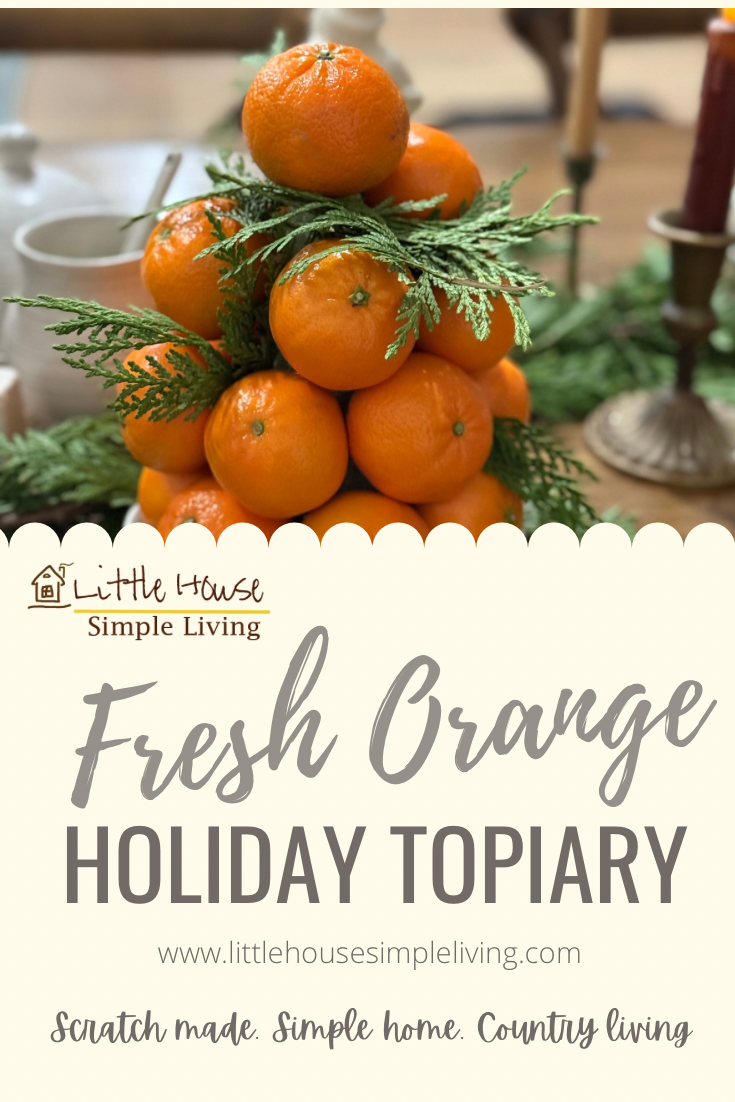 Fresh Orange Holiday Topiary