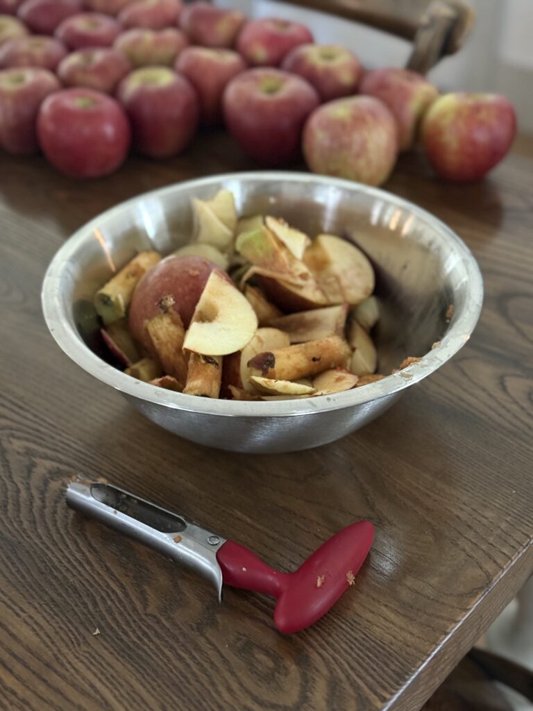 Apple scraps