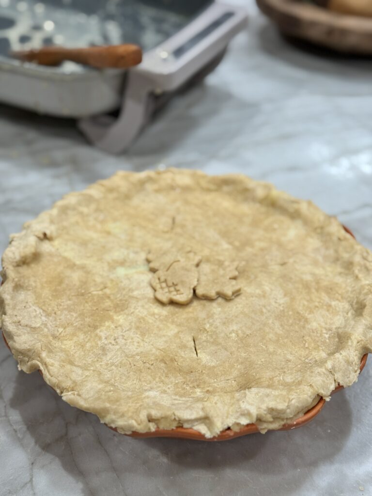 Harvest Chicken Pie