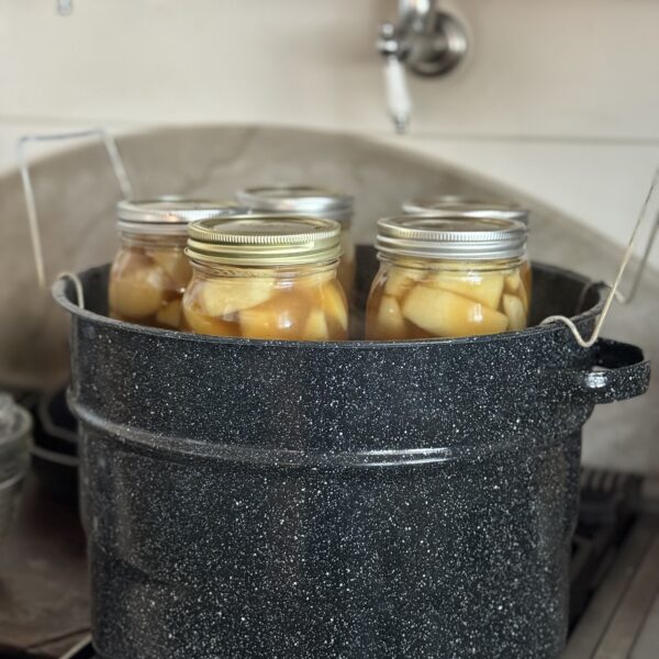 How to can sliced apples