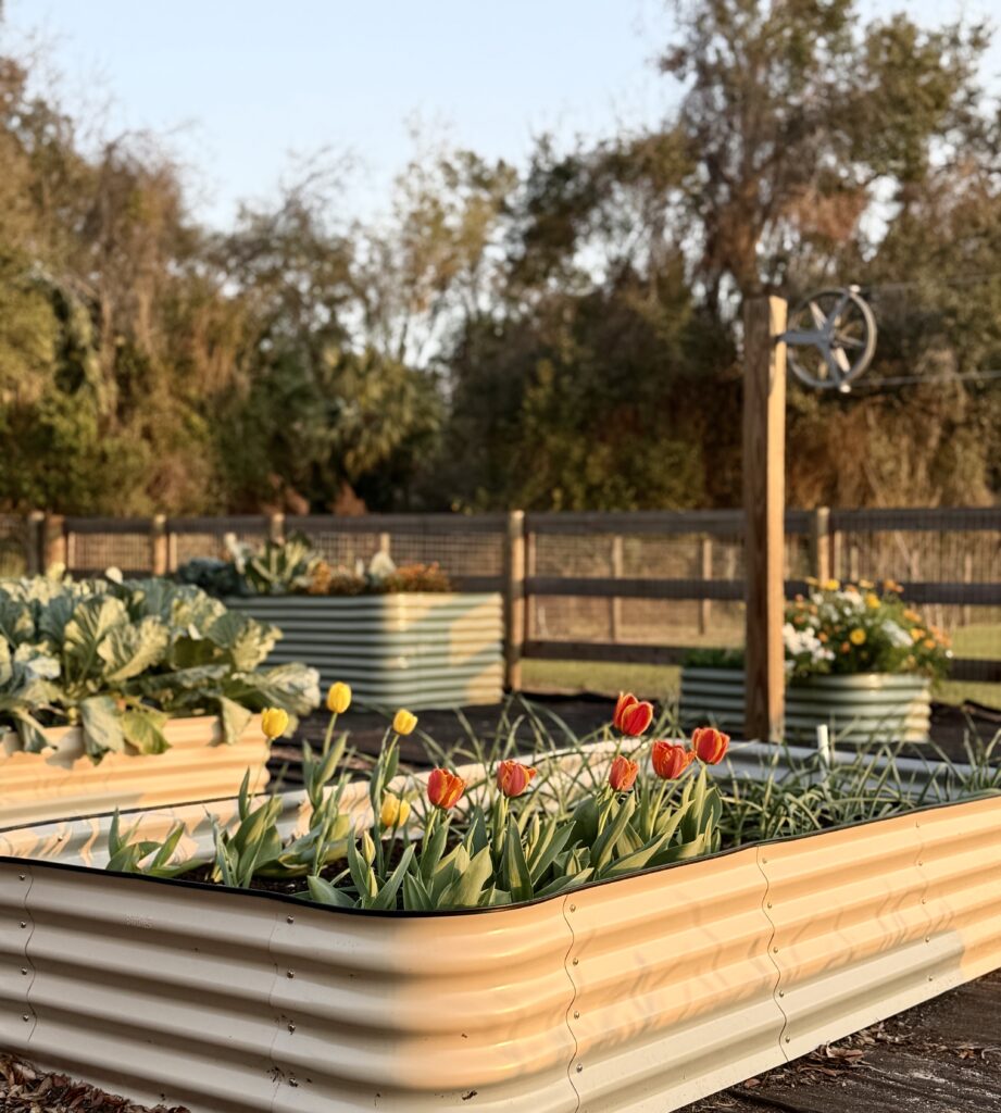 Epic gardening raised bed gift giving guide