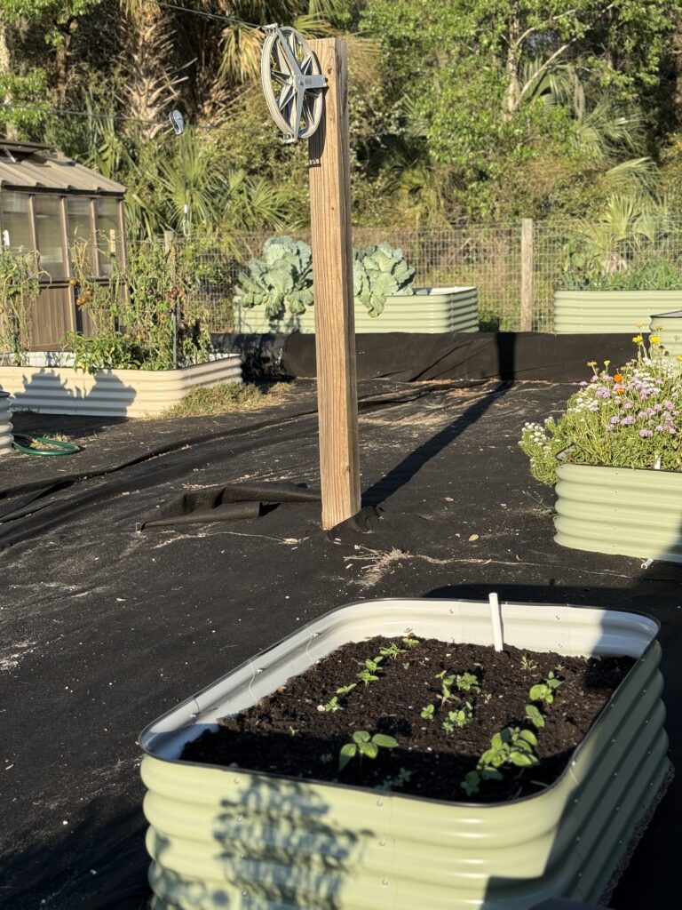 Epic gardening raised bed gift giving guide