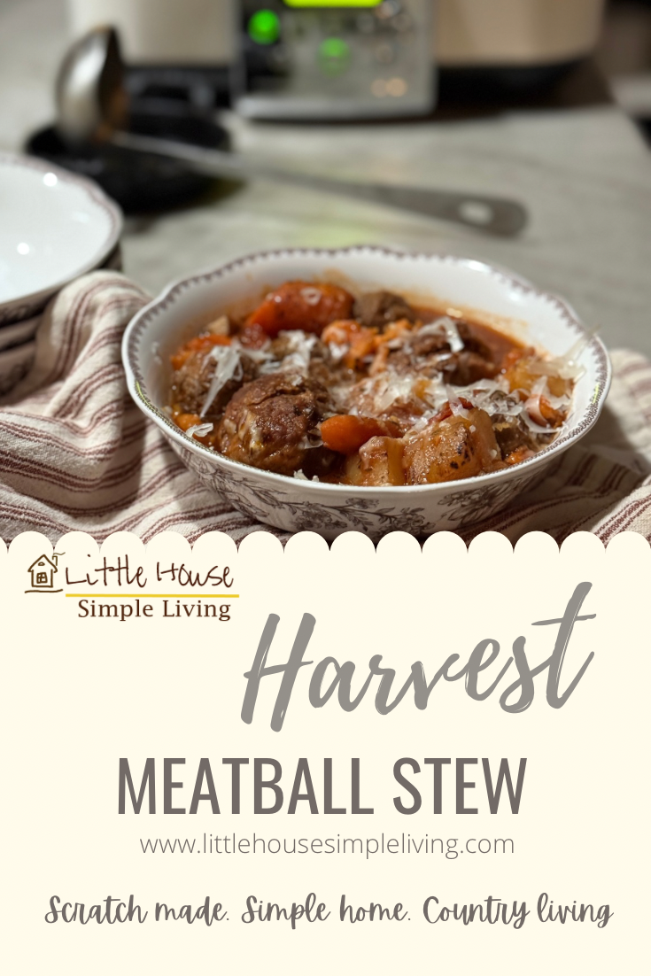 Harvest meatball stew