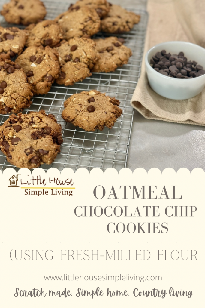 Oatmeal chocolate chip cookies pinerest