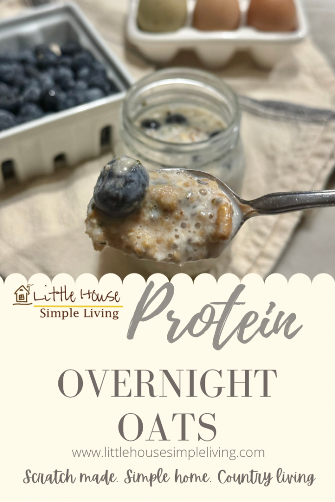 Protein overnight oats Pinterest