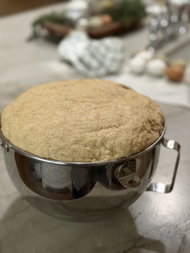 Fresh milled flour dough