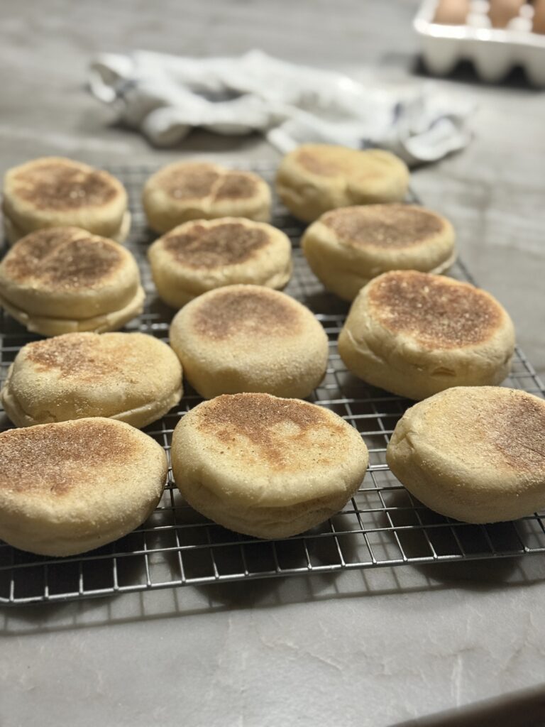 English muffins (using fresh-milled flour)