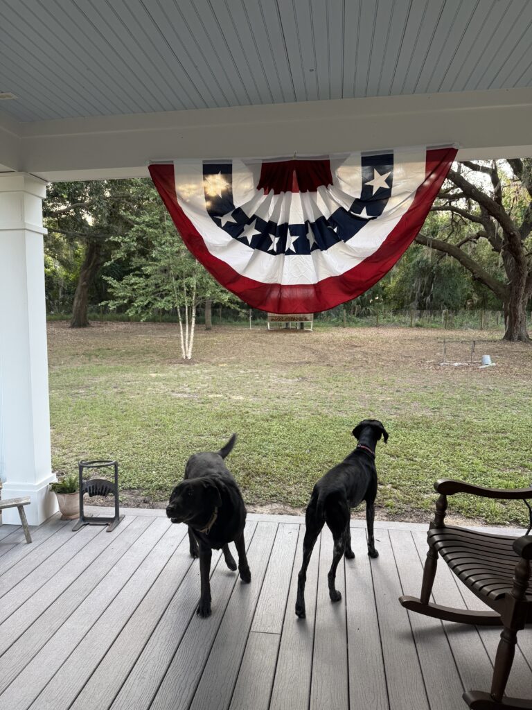 Patriotic porch decor