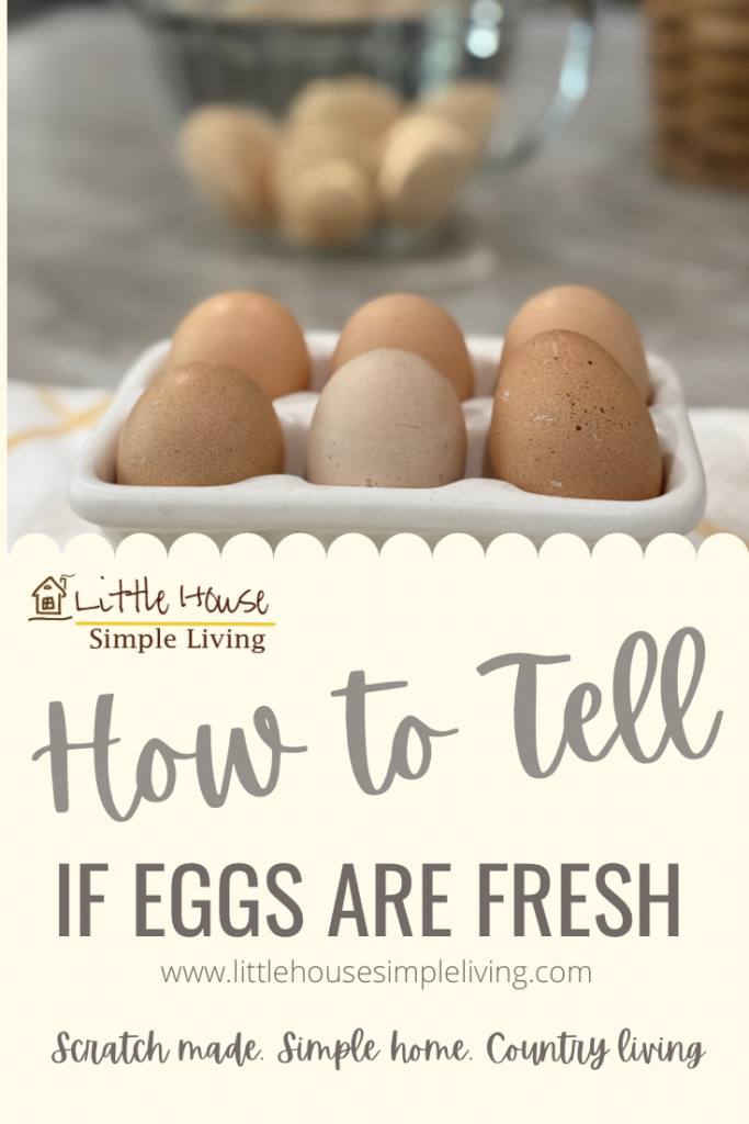 How to tell if eggs are fresh