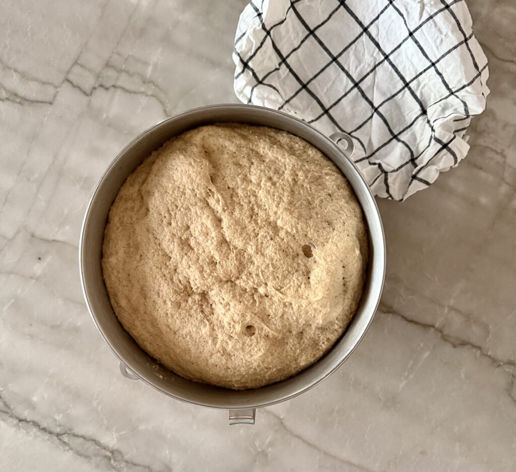 Fresh-milled flour bulk ferment