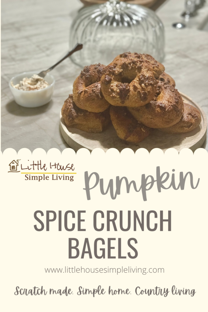 Pumpkin spice crunch bagels Pinterest 