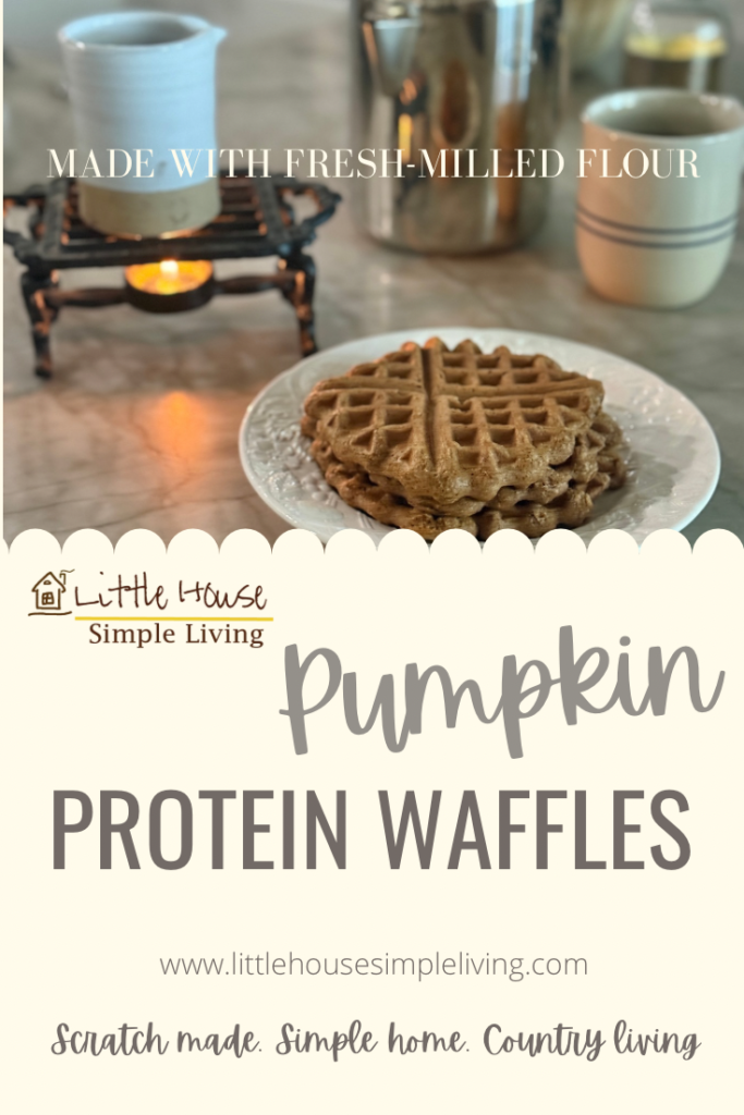 Pumpkin protein waffles