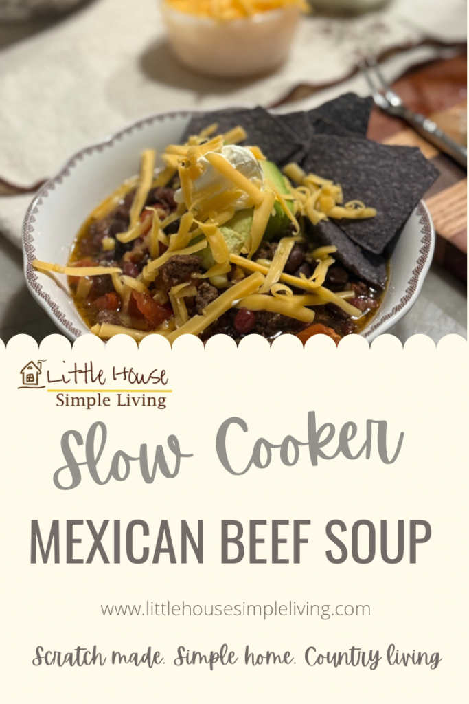 Slow cooker Mexican beef soup Pinterest 