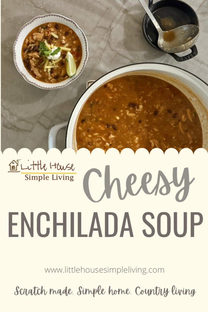 Cheesy enchilada soup Pinterest