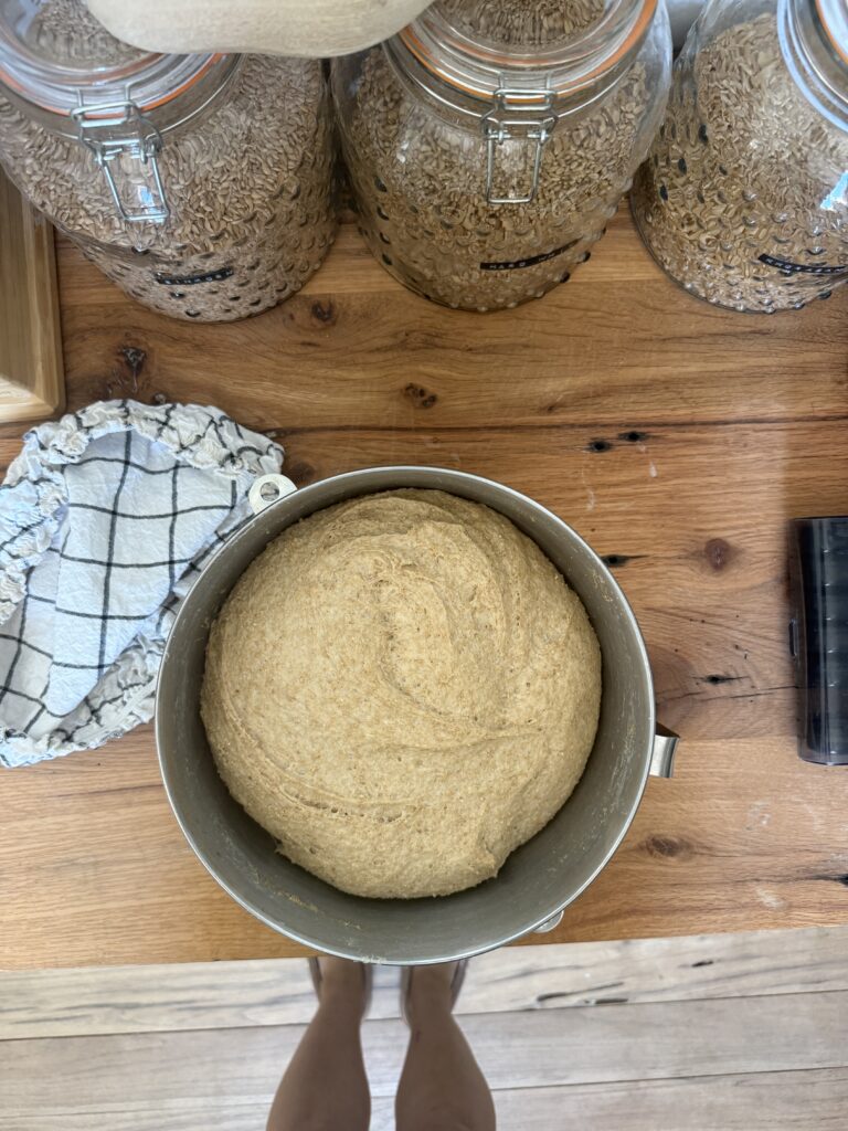 Fall spice shortbread cookies