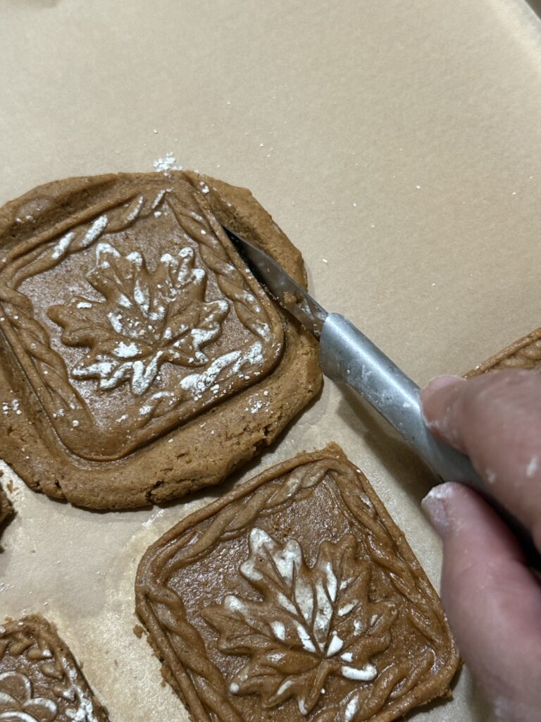 Fall spice shortbread cookies